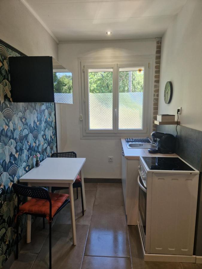 Appartement Independant Dans Maison Avec Jardinet, Au Calme Sérézin-du-Rhône 외부 사진